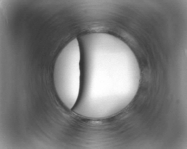 X0000069400361200605121029