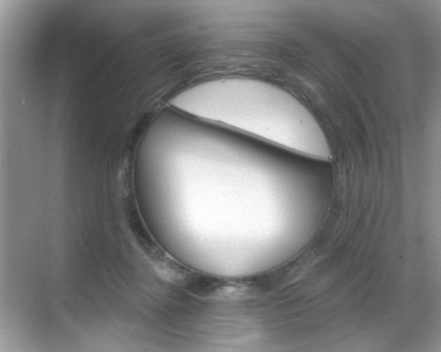 X0000069400364200605121029