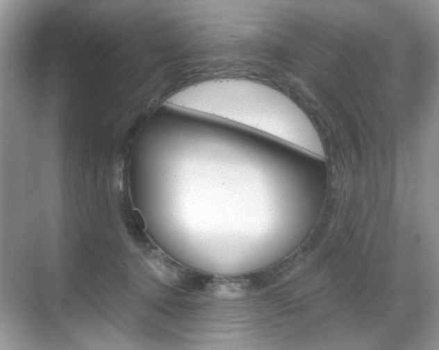 X0000069400368200605121029