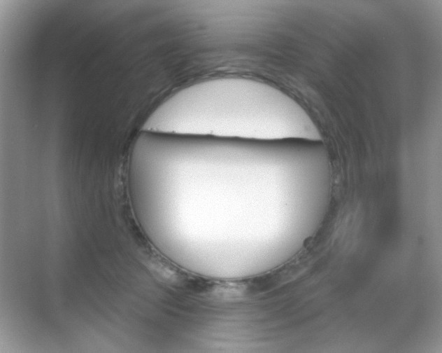 X0000069400369200605121029