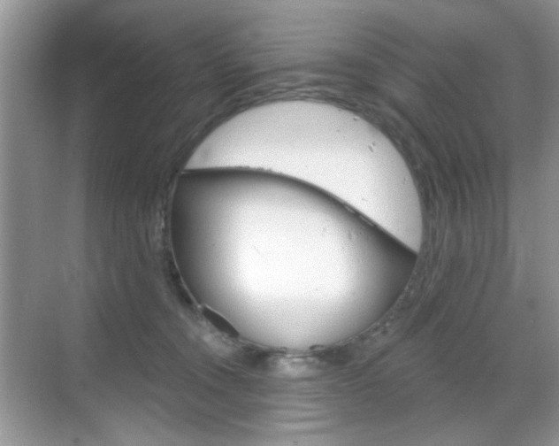 X0000069400372200605121029