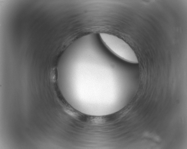 X0000069400383200605121029