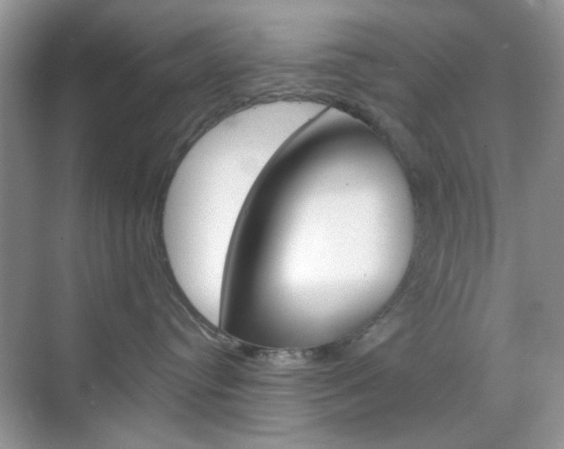 X0000069400384200605121029