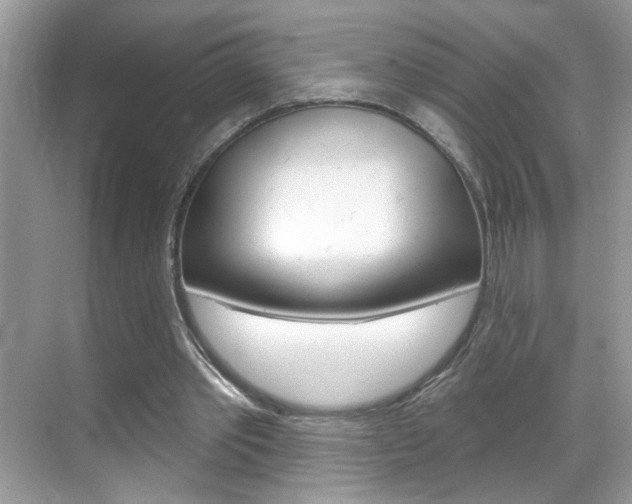 X0000069400389200605121029