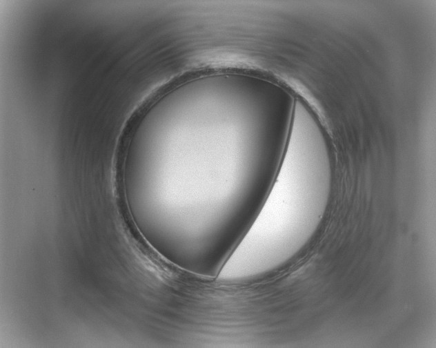 X0000069400391200605121029