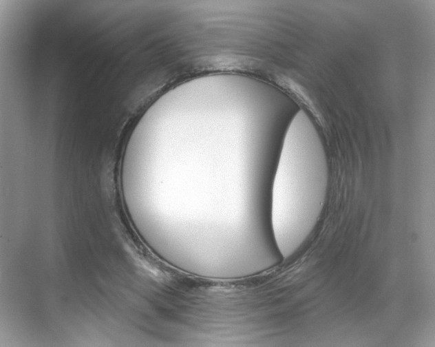 X0000069400394200605121028