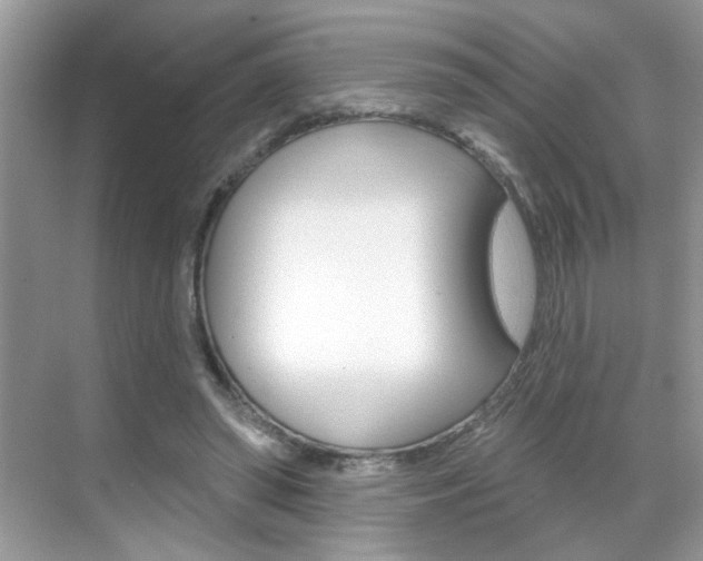 X0000069400398200605121028