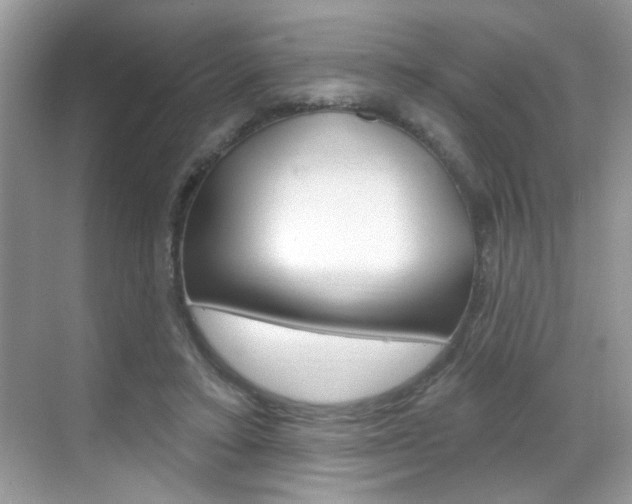 X0000069400403200605121028