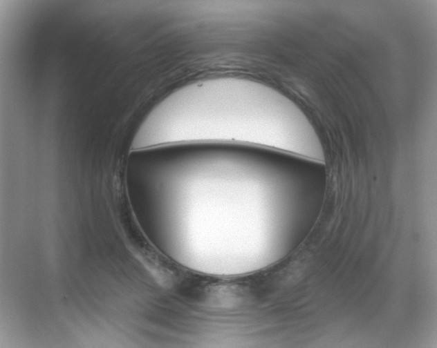 X0000069400408200605121028