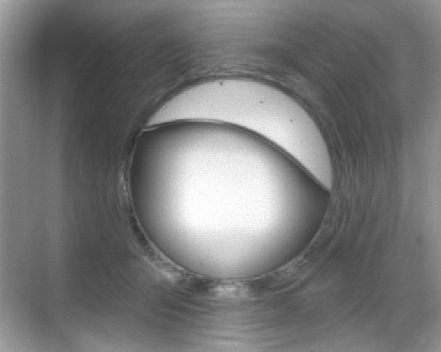 X0000069400415200605121028