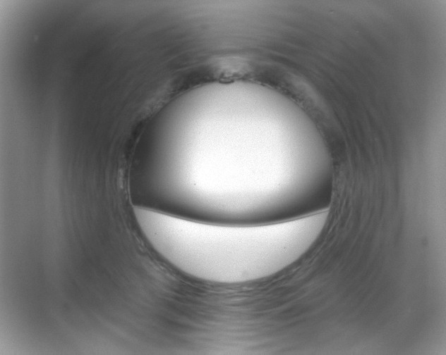 X0000069400417200605121028