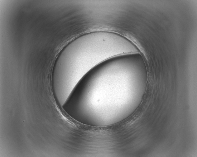 X0000069400433200605121027
