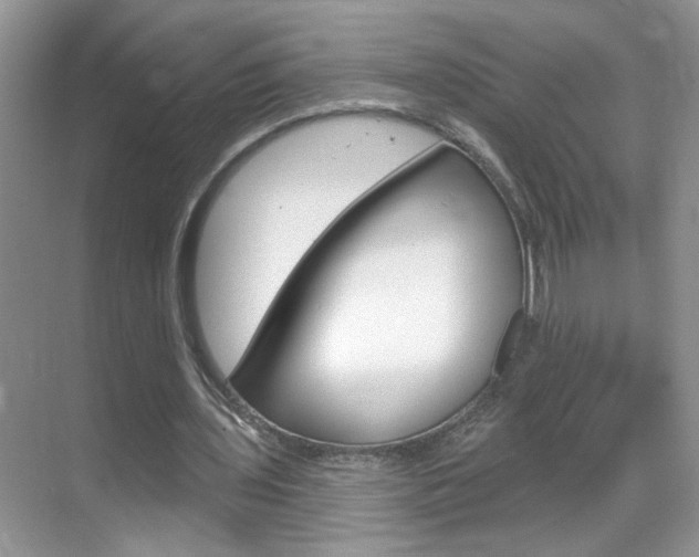 X0000069400435200605121027