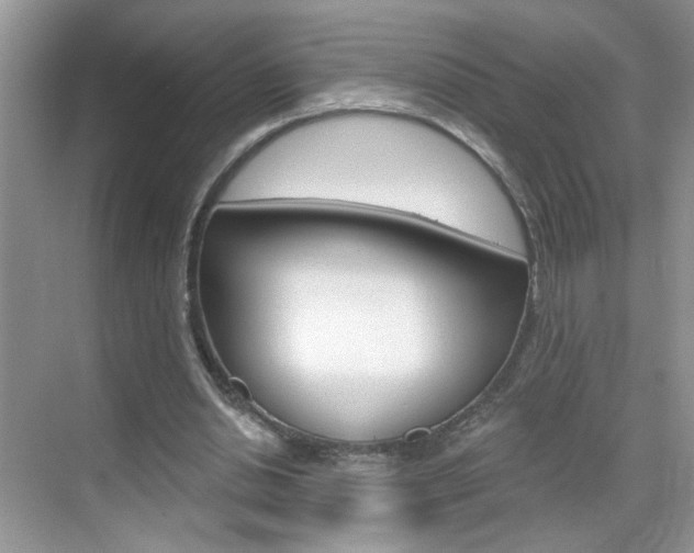 X0000069400438200605121027