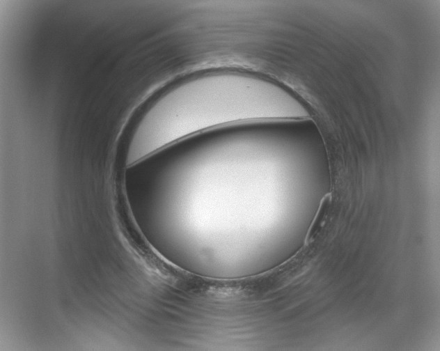 X0000069400440200605121027