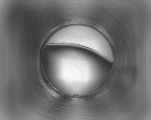 X0000069400442200605121027