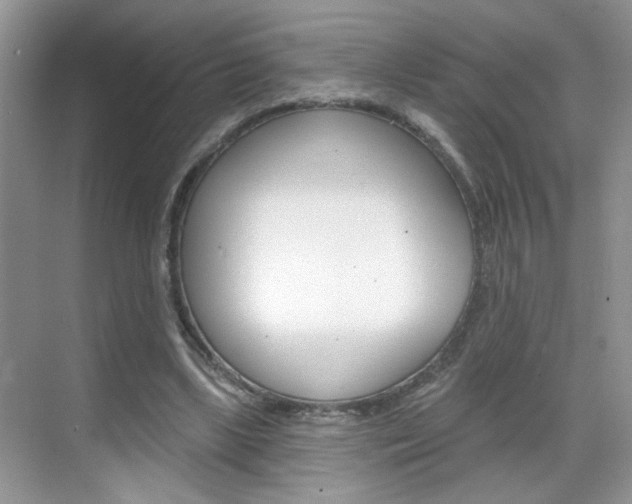 X0000069400443200605121027