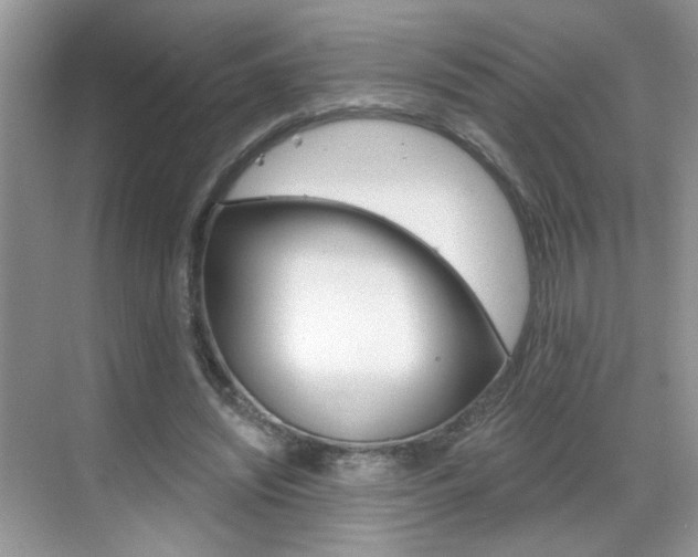 X0000069400444200605121027