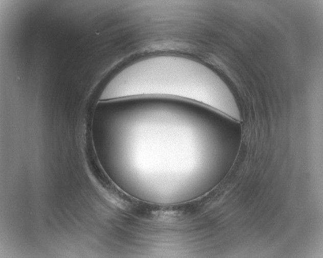X0000069400448200605121027