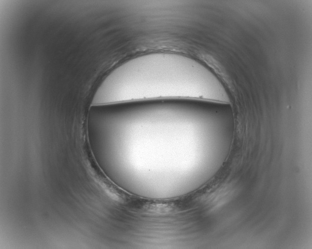 X0000069400449200605121027