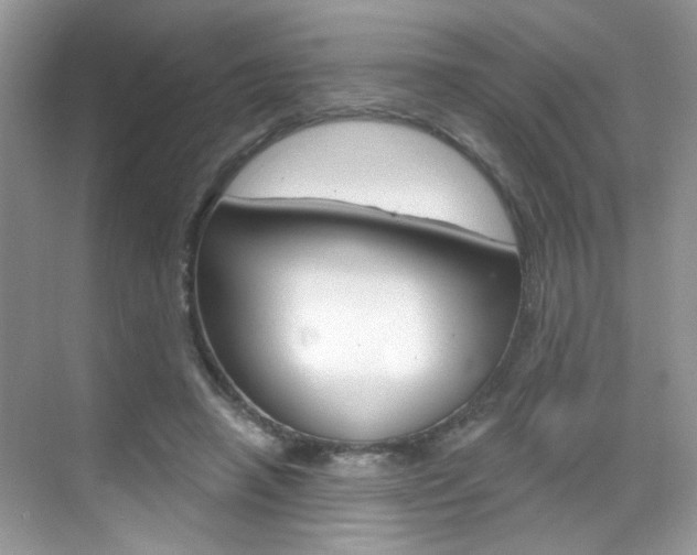X0000069400450200605121027