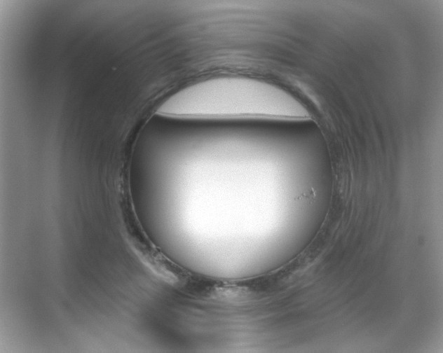 X0000069400455200605121027