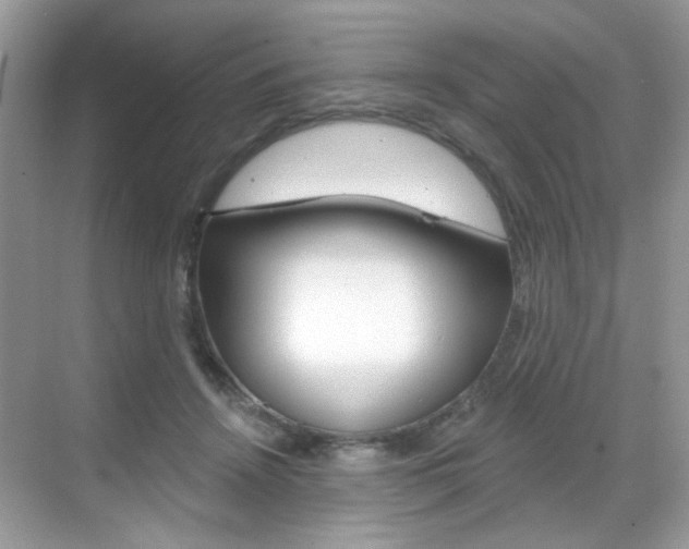 X0000069400456200605121027