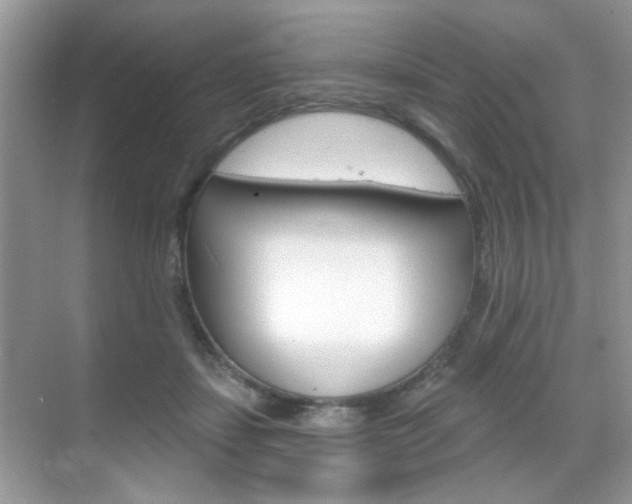 X0000069400459200605121027