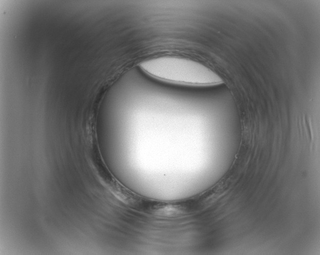 X0000069400460200605121027