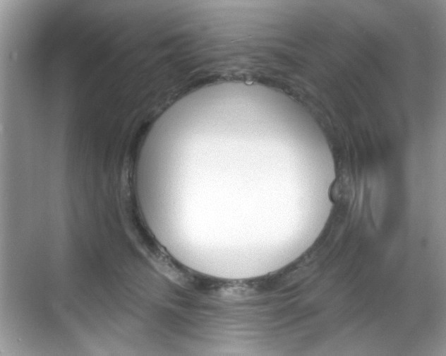 X0000069400468200605121028