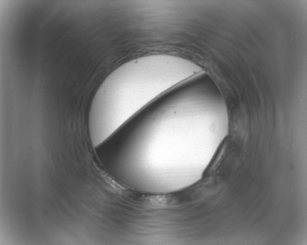 X0000069400473200605121028