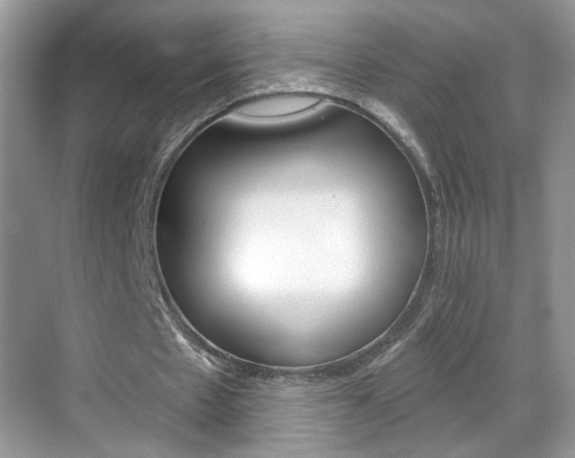X0000069400481200605121027