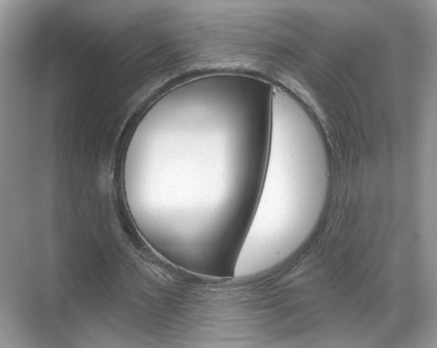 X0000069400483200605121027