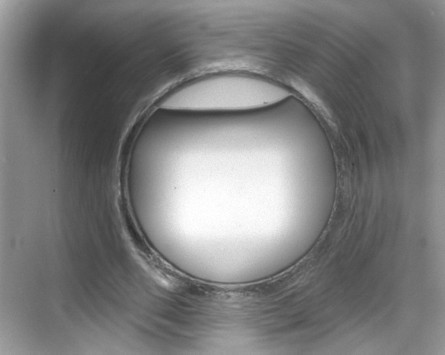 X0000069400486200605121027