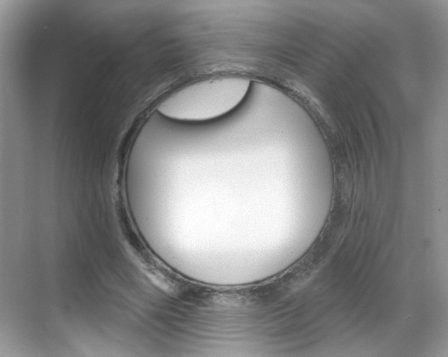 X0000069400490200605121027