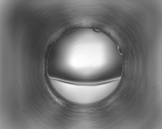 X0000069400493200605121027