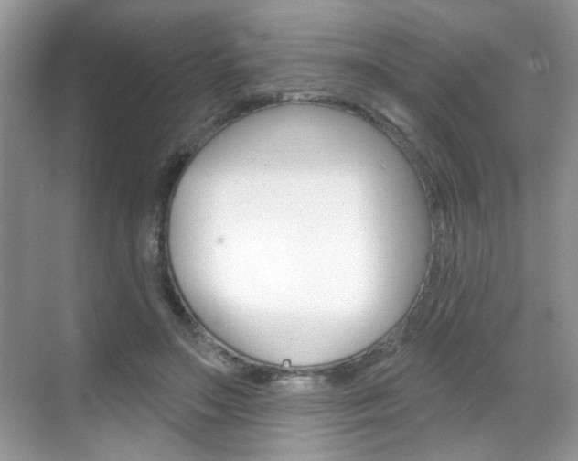X0000069400499200605121027