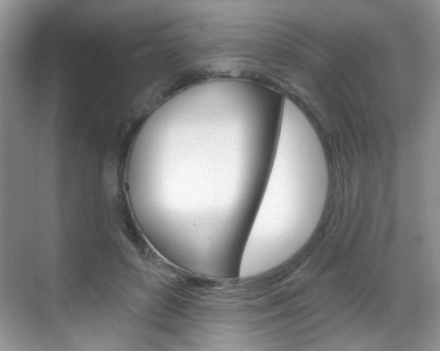 X0000069400504200605121027