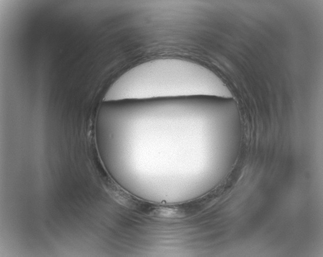 X0000069400507200605121027