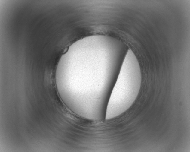 X0000069400514200605121026