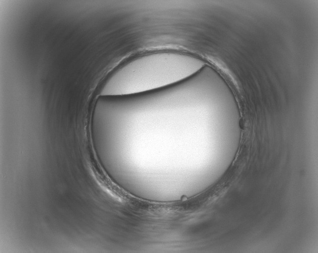 X0000069400533200605121025