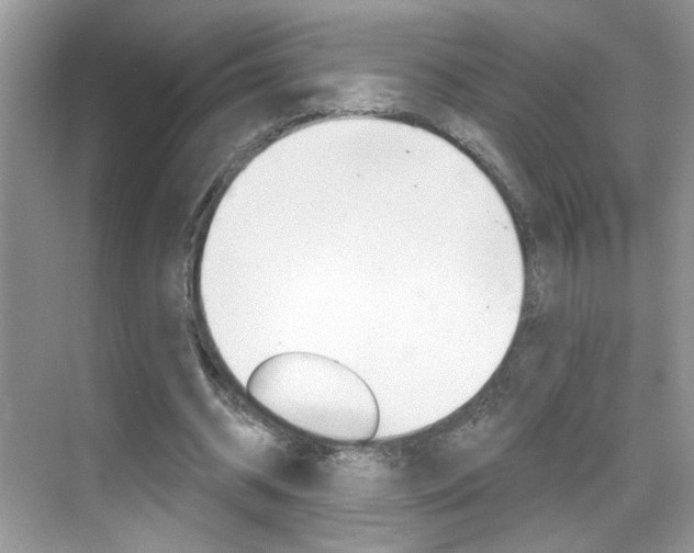 X0000069400534200605121025