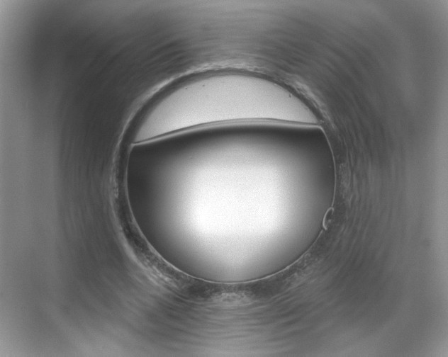 X0000069400536200605121026