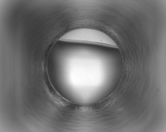 X0000069400546200605121026