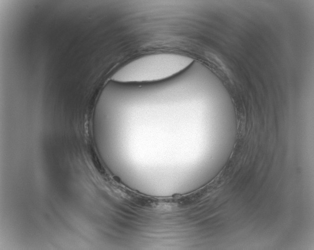 X0000069400549200605121026