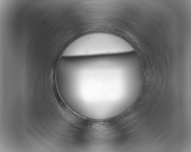 X0000069400550200605121026
