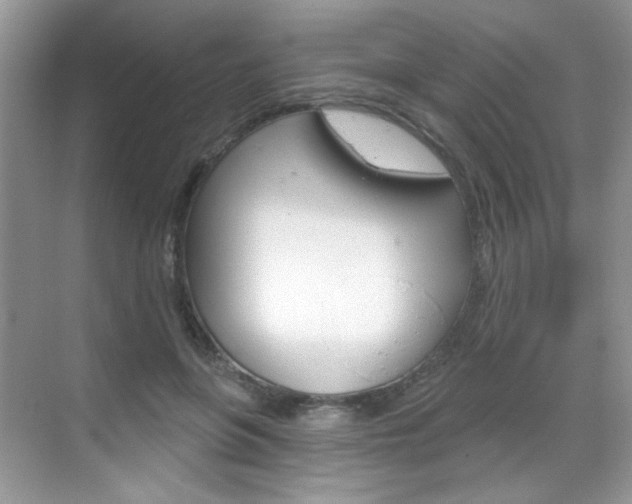 X0000069400551200605121026