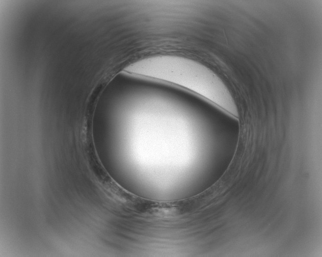 X0000069400552200605121026
