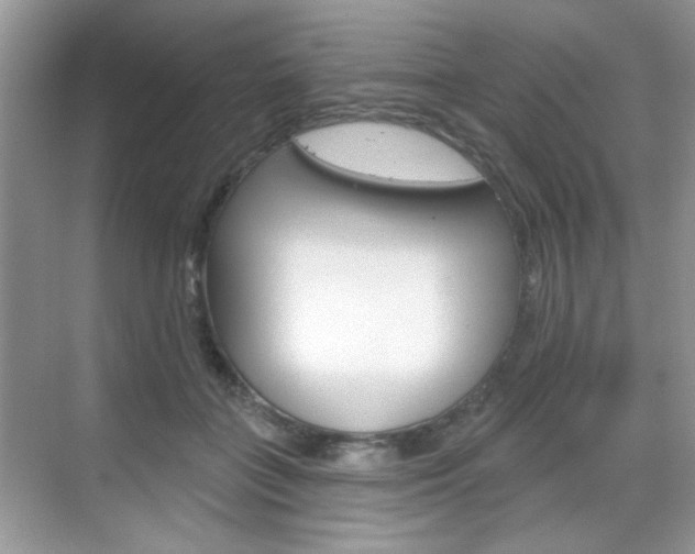 X0000069400555200605121026