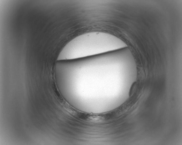 X0000069400557200605121026